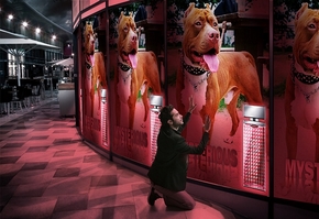 donk9