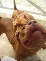 ¤·¡¼¤Ê¤È¤Þ¤µ¤¤