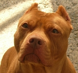 s1