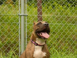 �������� 073