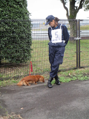 inu 136