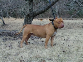 jony57