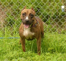 �������� 001