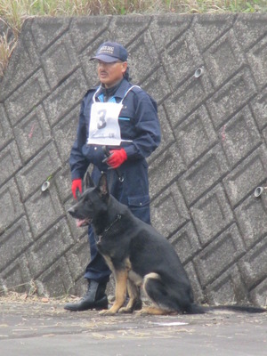 inu 154