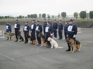 inu 142