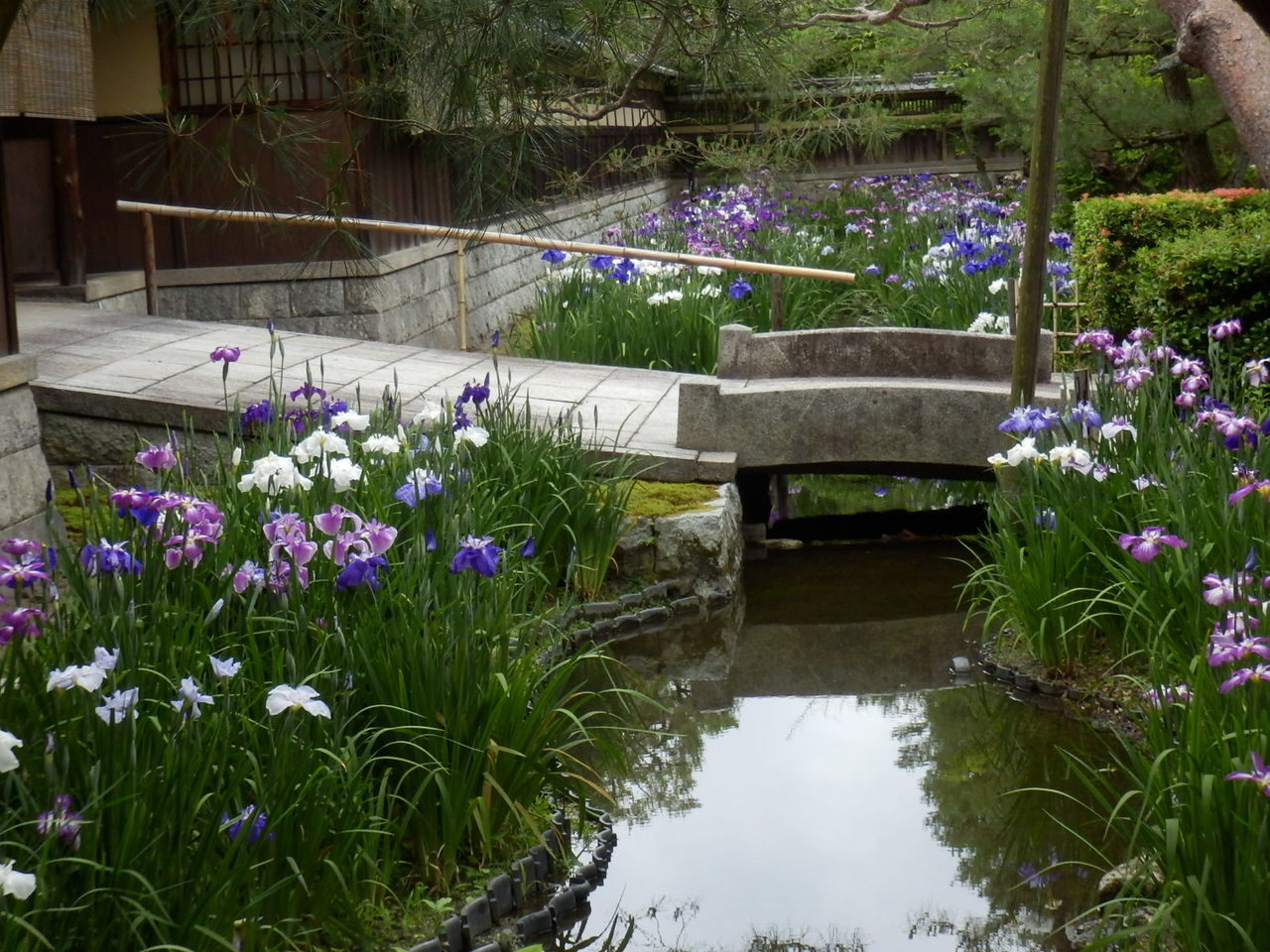 野村碧雲荘 Nomura Hekiunso Villa Exploring Kyoto 京都ときどき