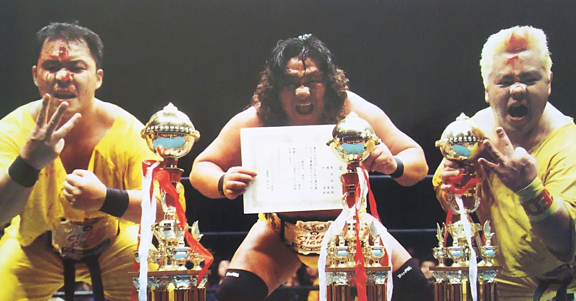 冬木弘道 : プロレスGOサイン-平成プロレスラーのサイン回想記‐