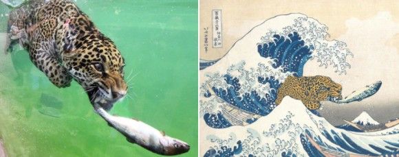 秀逸さ – 秀逸な例え – KNYYW