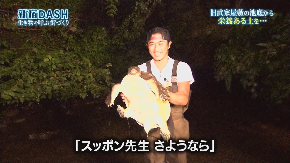 Tokioの山口達也が 鉄腕 Dash で大発見 東京都で最高ランクの絶滅危惧種 芸能人のゴシップ日記 Tokioの山口達也が 鉄腕 Dash で大発見 東京都で最高ランクの絶滅危惧種 芸能人のゴシップ日記