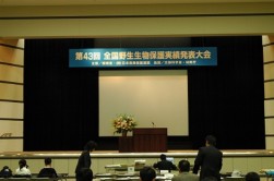 0812010061-.jpg 0812010061-.jpg