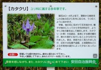 0902140411-.jpg 0902140411-.jpg