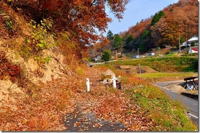 s20121123_699 s20121123_699