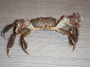 a0910091101.jpg a0910091101.jpg