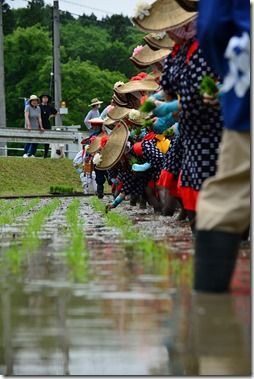 20150531_1377 20150531_1377