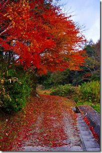 s20121123_647 s20121123_647