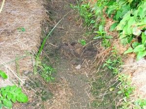 トンネル.jpg トンネル.jpg