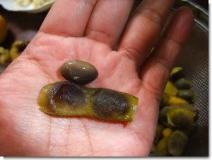 黒大豆.jpg 黒大豆.jpg