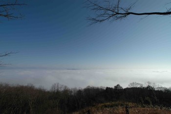 三次の雲海.jpg 三次の雲海.jpg