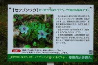 0902140403-.jpg 0902140403-.jpg