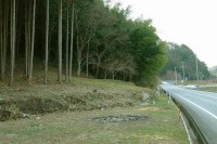 0902140409-.jpg 0902140409-.jpg