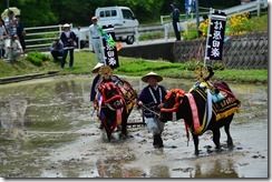 20150531_1335 20150531_1335