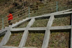 0803100002.jpg 0803100002.jpg