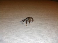 a0910091100.jpg a0910091100.jpg