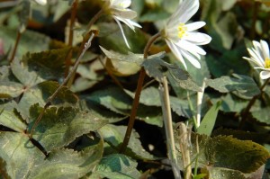 0803100005.jpg 0803100005.jpg