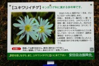 0902140398-.jpg 0902140398-.jpg