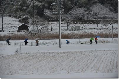 -20160119_1767 -20160119_1767