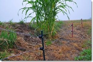 電気柵.jpg 電気柵.jpg