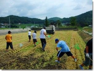 カエル捕り.jpg カエル捕り.jpg