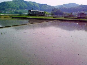 NEC_0017.JPG NEC_0017.JPG