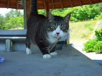 a1006052027.jpg a1006052027.jpg