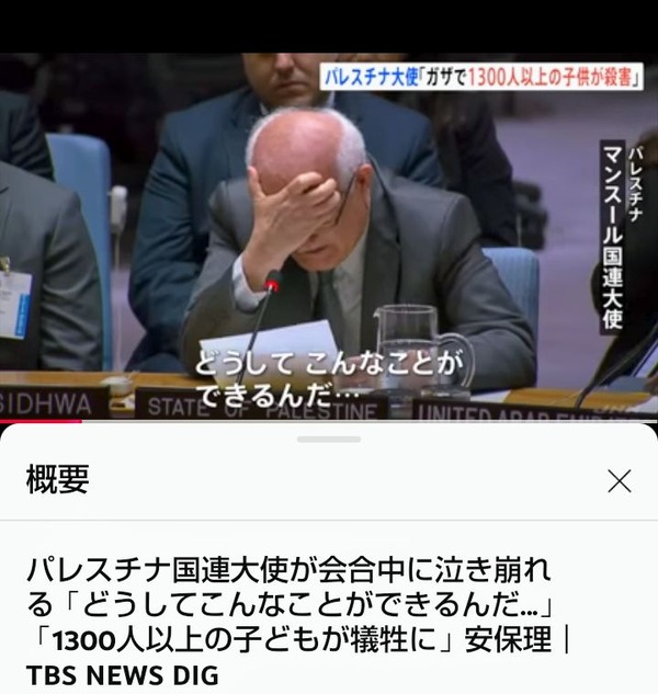 パレスチナ大使、安保理会議中にガチ泣き