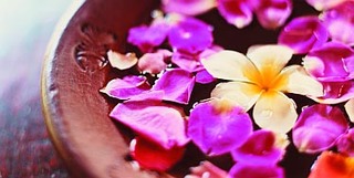 JP_spa_orchidsbowl_374x188