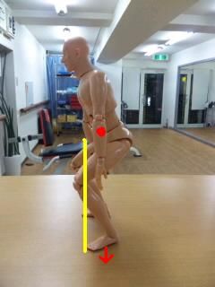 スクワット正[1]