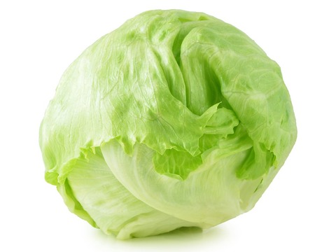 lettuce_main-e1558005415406