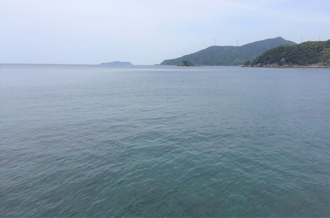アオリイカ1 4キロ 記録更新 釣り人の聖地 アオリイカ1 4キロ 記録更新 釣り人の聖地