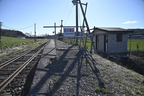 _DSC0984