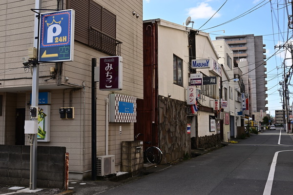 DSC_1173