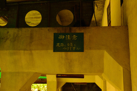 DSC_1564