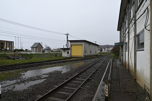 _DSC0647