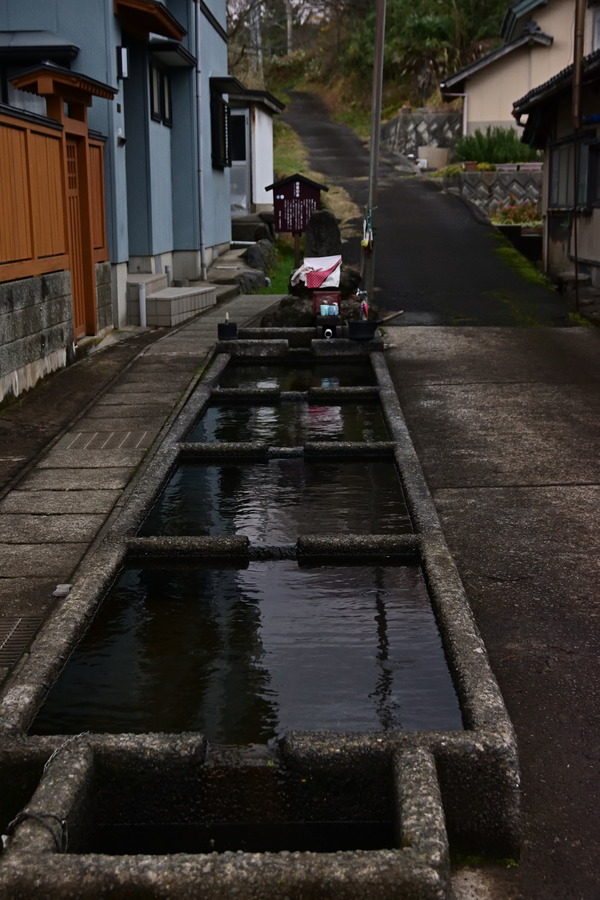 DSC_1006