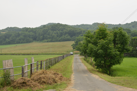 DSC_0088