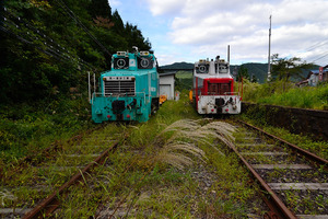 DSC_3104