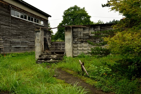 DSC_0228