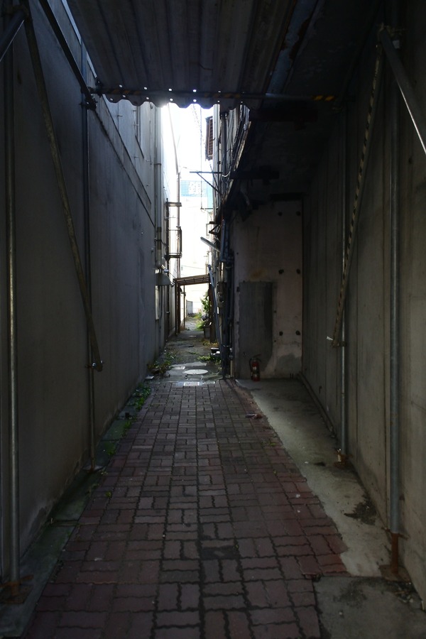 DSC_0016