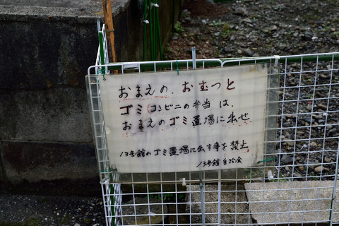 DSC_0834
