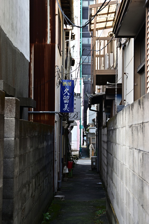 DSC_1196
